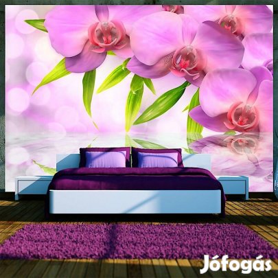 Fotótapéta - Lila színben