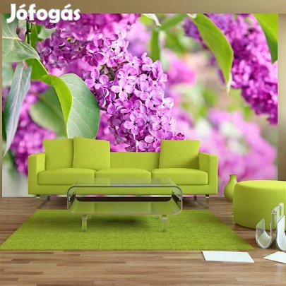 Fotótapéta - Lila zöldben