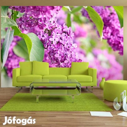 Fotótapéta - Lila zöldben