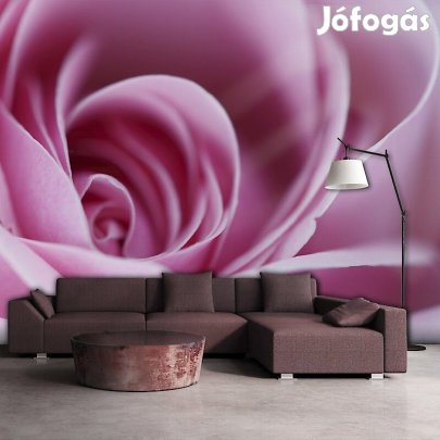 Fotótapéta - Lilás színekben