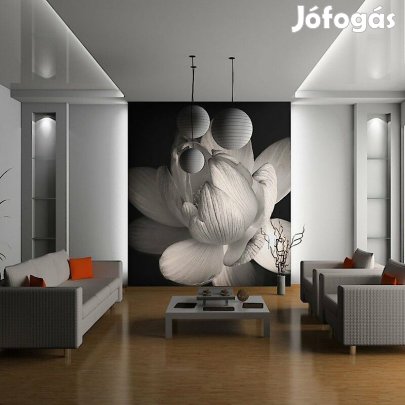 Fotótapéta - Lótusz virág