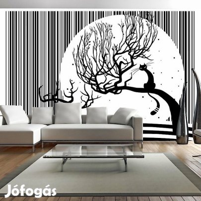 Fotótapéta - Macska melódiája 2