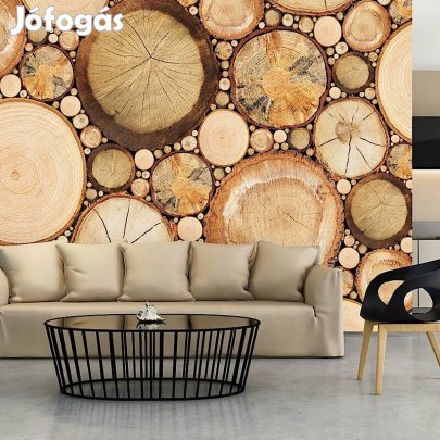 Fotótapéta - Magányos törzsek