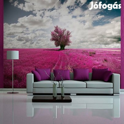 Fotótapéta - Magenta mező