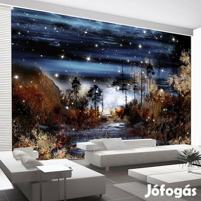 Fotótapéta - Mágikus erdő