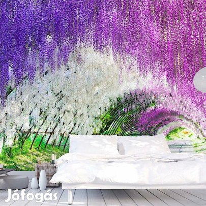 Fotótapéta - Megfestett természet