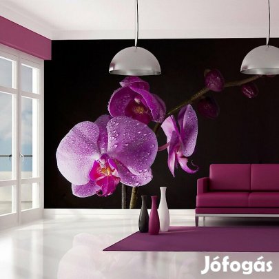 Fotótapéta - Mélység