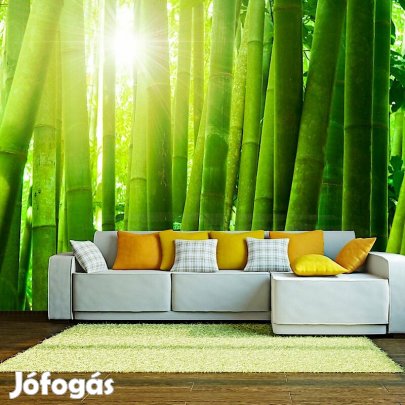 Fotótapéta - Nap és bambusz
