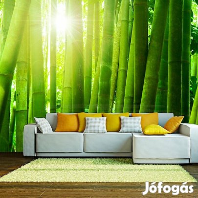 Fotótapéta - Nap és bambusz