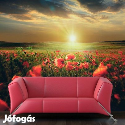 Fotótapéta - Napfelkelte a pipacsmezőn