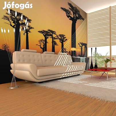 Fotótapéta - Naplemente Afrikában