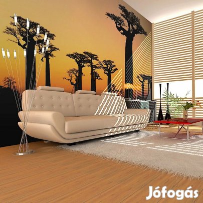 Fotótapéta - Naplemente Afrikában