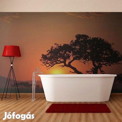 Fotótapéta - Napnyugta a sivatagban