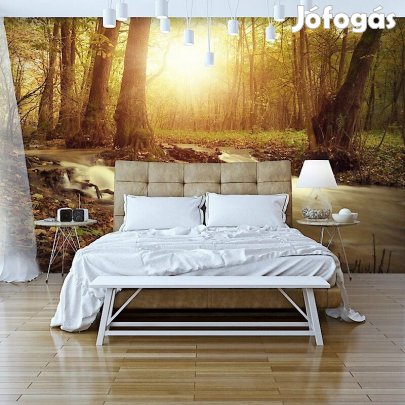 Fotótapéta - Napsütés az erdőben