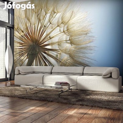 Fotótapéta - Napsütésben