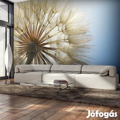 Fotótapéta - Napsütésben