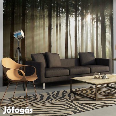 Fotótapéta - Napsütötte erdő