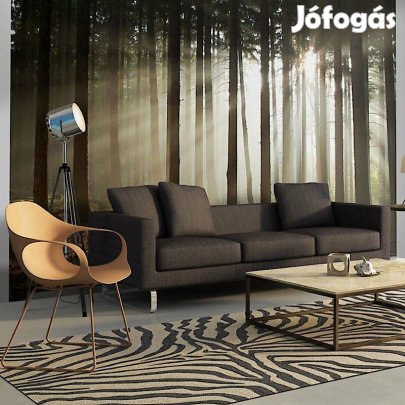 Fotótapéta - Napsütötte erdő