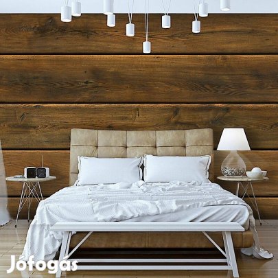 Fotótapéta - Nedves fapalánkok