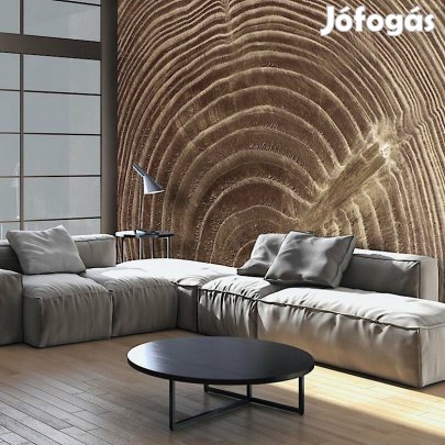 Fotótapéta - Nyers fa 1