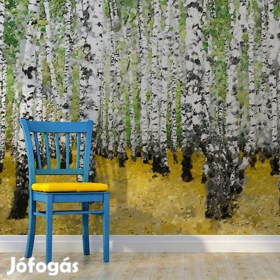 Fotótapéta - Nyírfa erdő 3