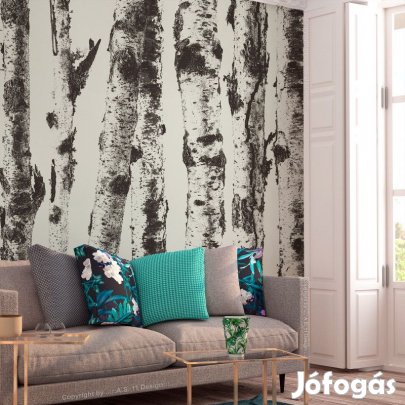 Fotótapéta - Nyírfa erdő 3