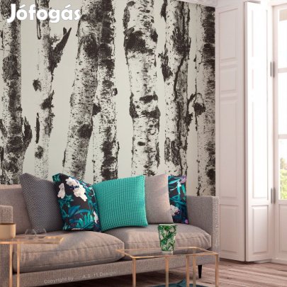 Fotótapéta - Nyírfa erdő 3