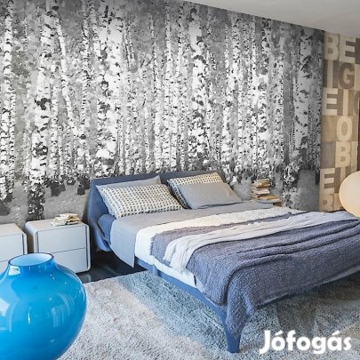 Fotótapéta - Nyírfa erdő 4