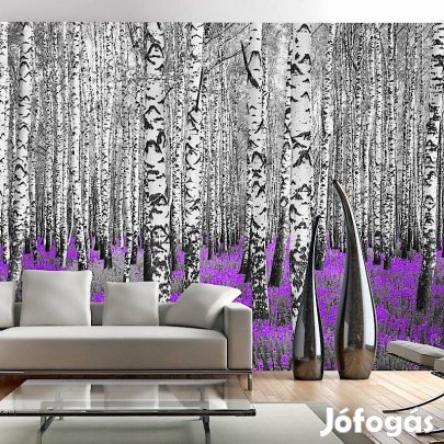 Fotótapéta - Nyírfa erdő 6