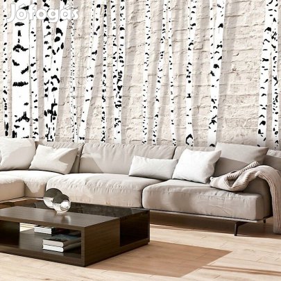 Fotótapéta - Nyírfa erdő 7