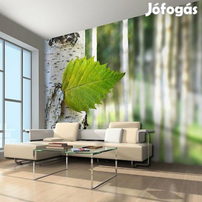 Fotótapéta - Nyírfa levél mintás tapéta
