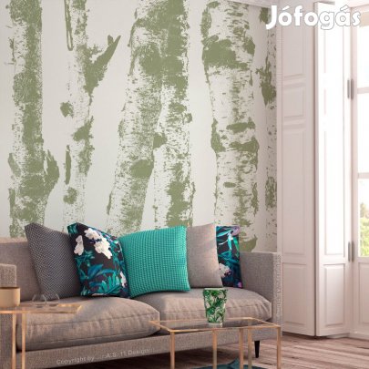 Fotótapéta - Nyírfák árnyékában 2