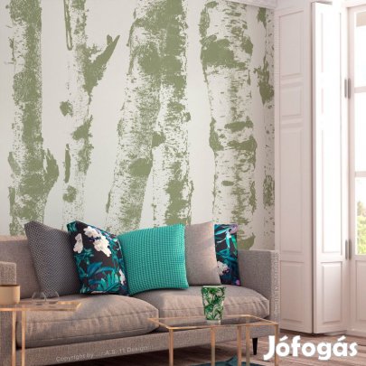 Fotótapéta - Nyírfák árnyékában 2