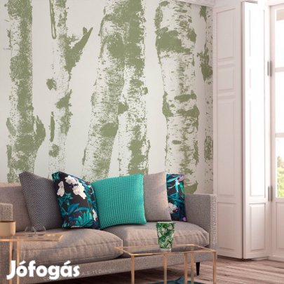 Fotótapéta - Nyírfák árnyékában 2