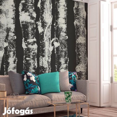 Fotótapéta - Nyírfák árnyékában