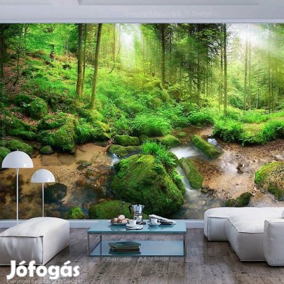 Fotótapéta - Nyirkos erdő
