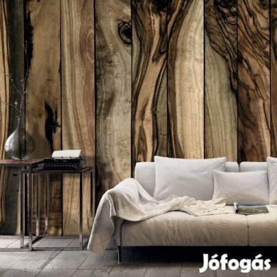 Fotótapéta - Olajfa