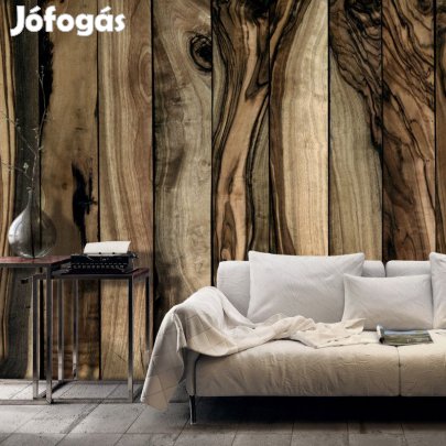 Fotótapéta - Olajfa