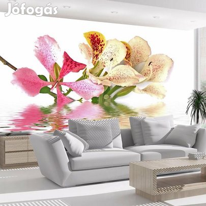 Fotótapéta - Orchidea fa
