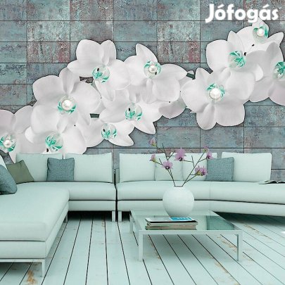 Fotótapéta - Orchideák gyöngyökkel