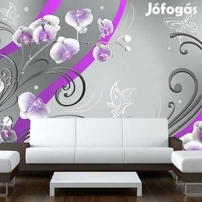 Fotótapéta - Orchideák világa