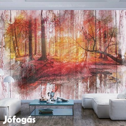 Fotótapéta - Őszi erdő