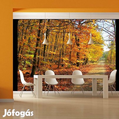 Fotótapéta - Őszi napsütés 2