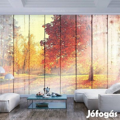 Fotótapéta - Őszi napsütés