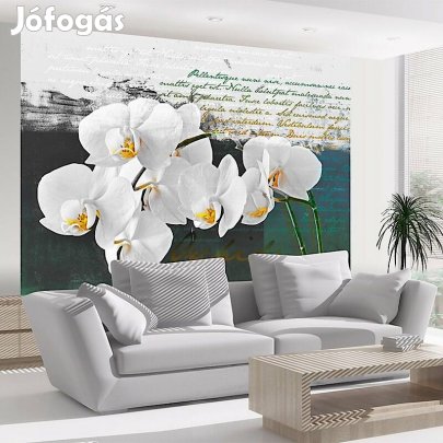 Fotótapéta - Papírra vetett gondolatok