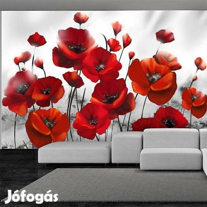 Fotótapéta - Pirosan, fehéren