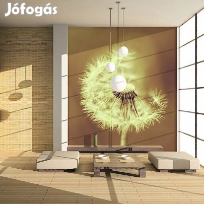 Fotótapéta - Pitypang