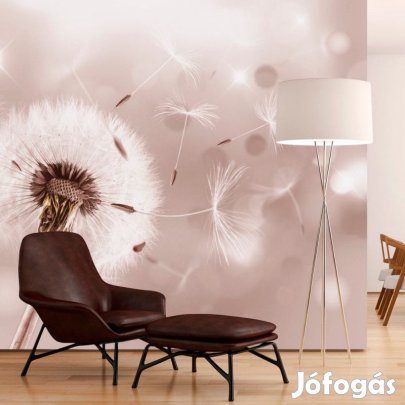 Fotótapéta - Pitypang kavalkád