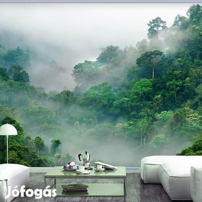 Fotótapéta - Reggeli köd