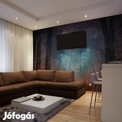 Fotótapéta - Rejtelmes erdő 2